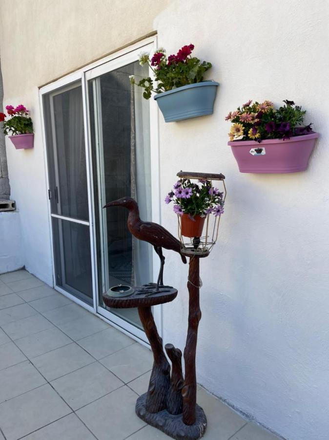 Vila Olivier House Mellieħa Exteriér fotografie