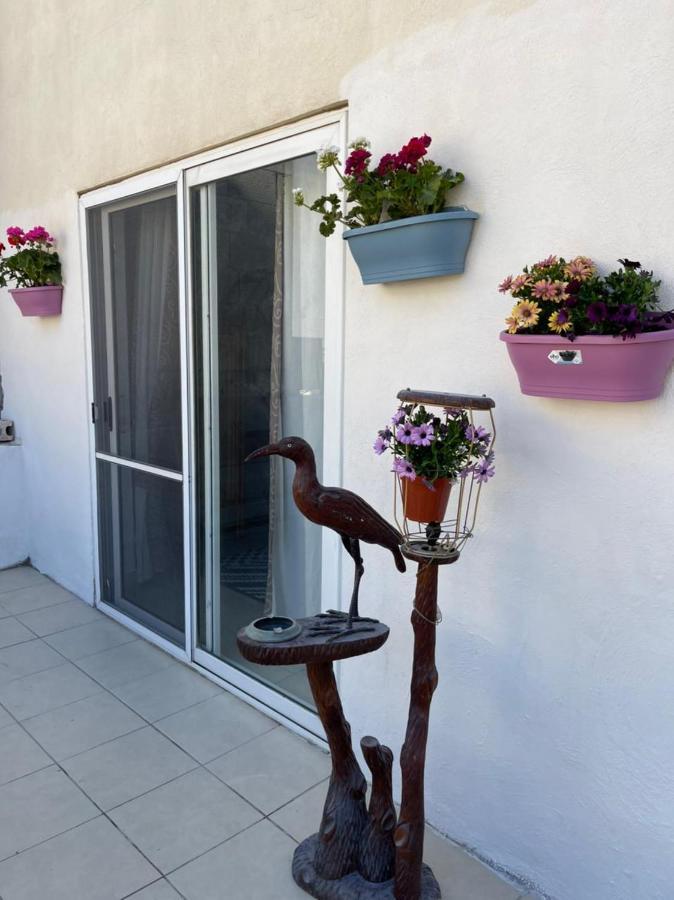 Vila Olivier House Mellieħa Exteriér fotografie